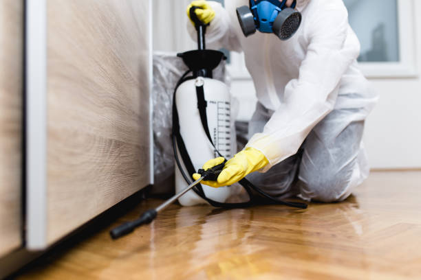 Best Affordable Pest Control Services  in Redington Shores, FL