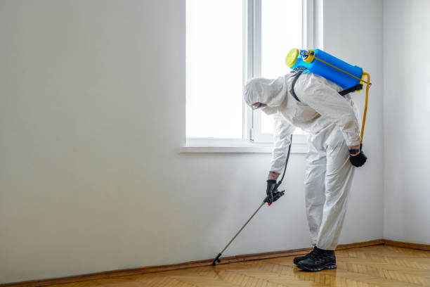 Pest Control Cost in Redington Shores, FL