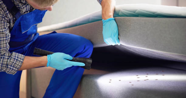 Professional Pest Control in Redington Shores, FL